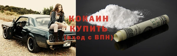 индика Верея
