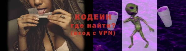 индика Верея