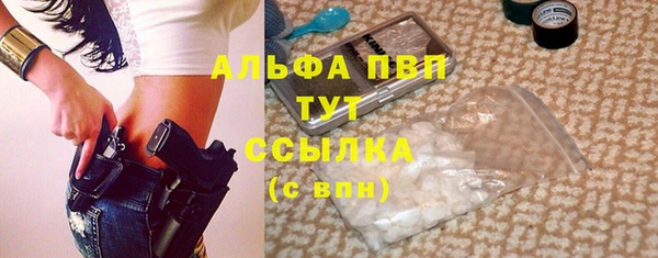 индика Верея