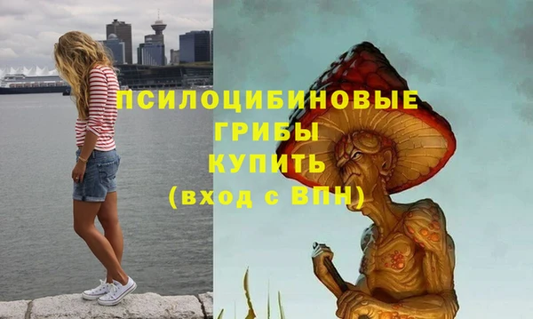 индика Верея