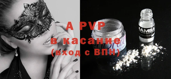 индика Верея