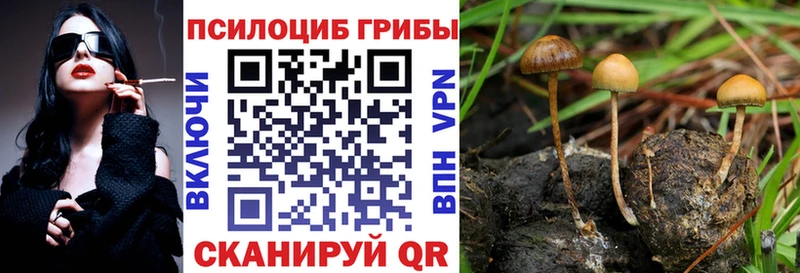 Псилоцибиновые грибы ЛСД Волгодонск